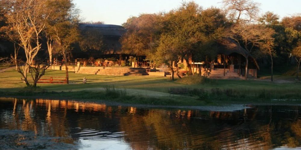 Zimbabwe - Horse Management and Lion Rehabilitation15