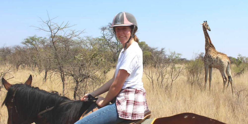 Zimbabwe - Horse Management and Lion Rehabilitation6