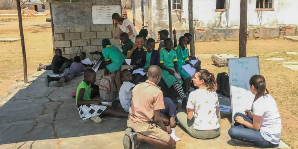 Zimbabwe - Teaching and Lion Rehabilitation in Antelope Park11