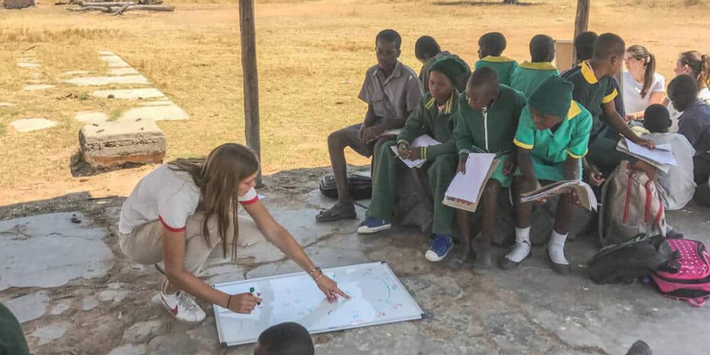 Zimbabwe - Teaching and Lion Rehabilitation in Antelope Park12