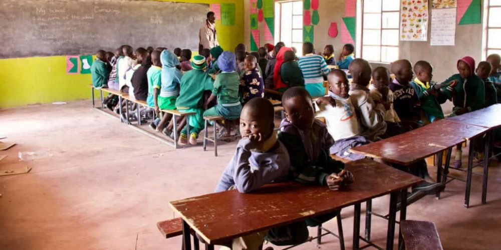 Zimbabwe - Teaching and Lion Rehabilitation in Antelope Park16