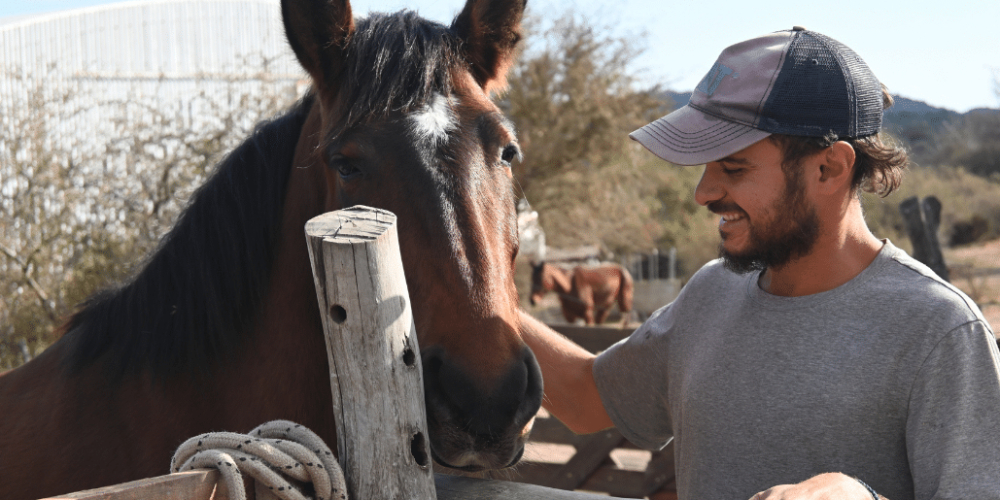 argentina-horse-volunteer-and-animal-sanctuary18