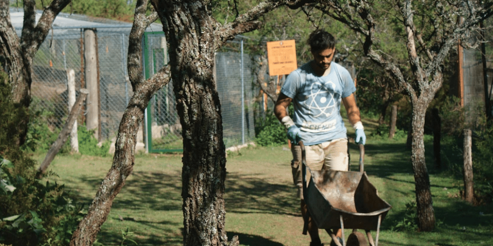 argentina-puma-sanctuary-wildlife-reserve10