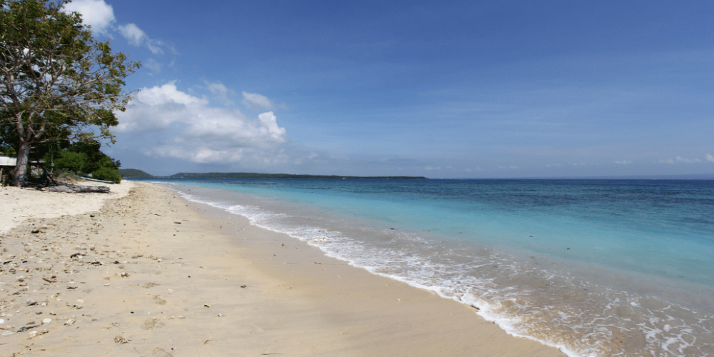 bali-sea-turtle-community-for-teenagers14