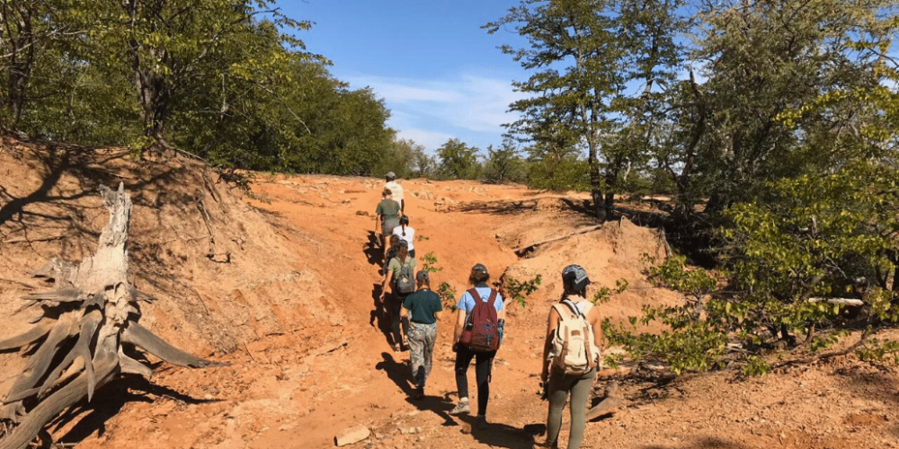 botswana-safari-volunteer-program11