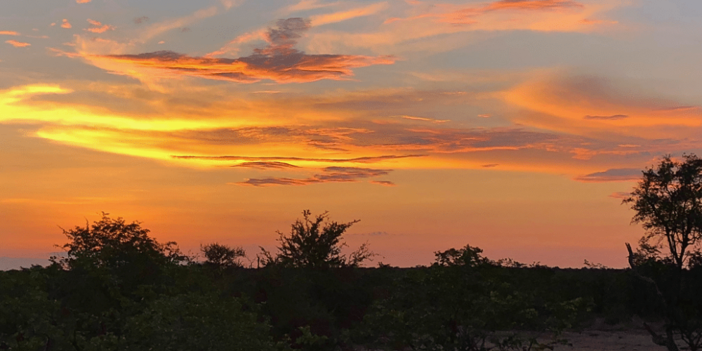 botswana-safari-volunteer-program39