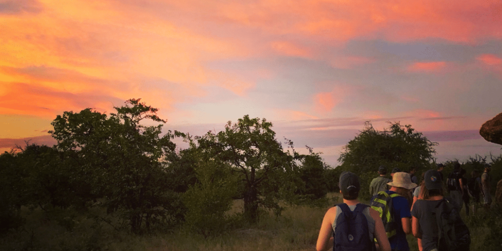 botswana-safari-volunteer-program45