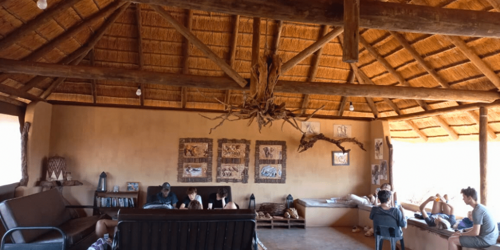 botswana-safari-volunteer-program52