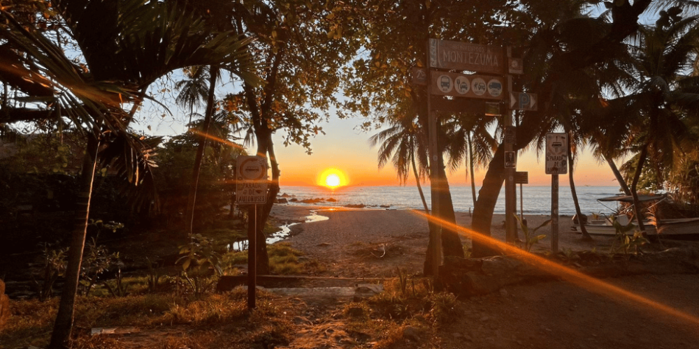 costa-rica-montezuma-sea-turtle-volunteer-program1