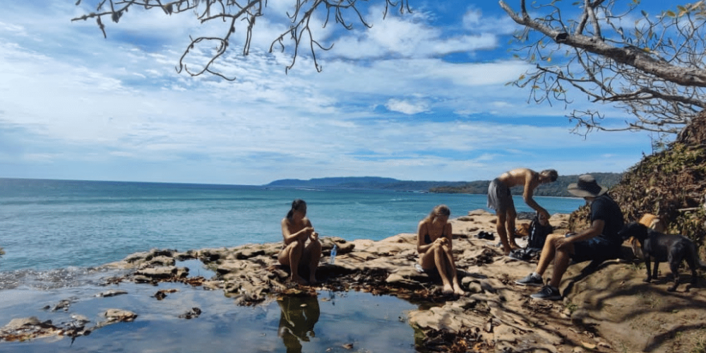 costa-rica-montezuma-sea-turtle-volunteer-program2