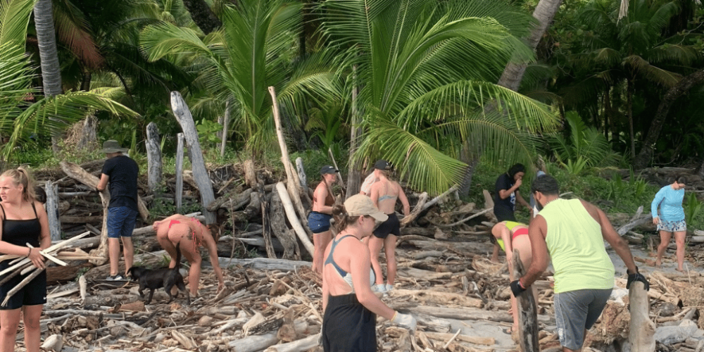 costa-rica-montezuma-sea-turtle-volunteer-program9