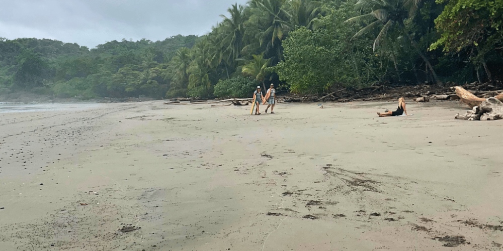 costa-rica-pacific-sea-turtle-volunteer-program11