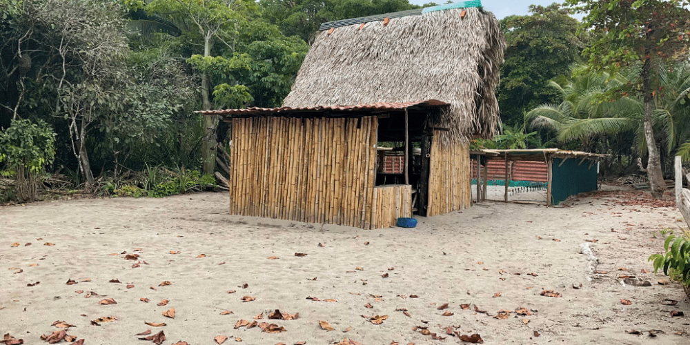 costa-rica-pacific-sea-turtle-volunteer-program16