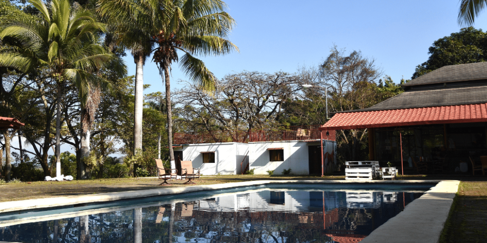 costa-rica-pre-vet-sloth-and-wildlife-rescue-center-acc-4