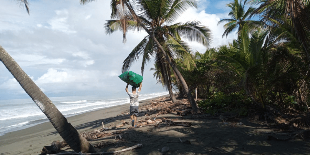 costa-rica-sea-turtle-protection-eco-oasis9