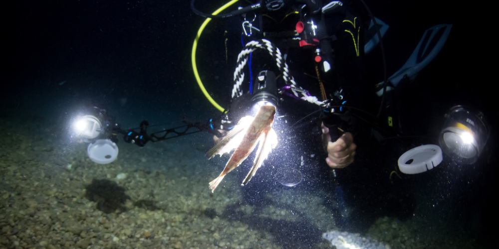 greece-greek-island-marine-conservation10