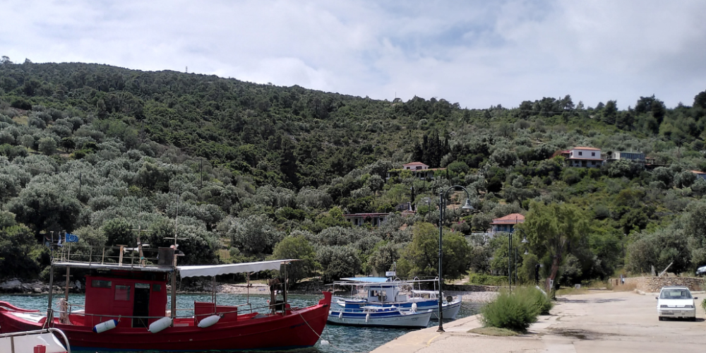 greece-greek-island-marine-conservation14