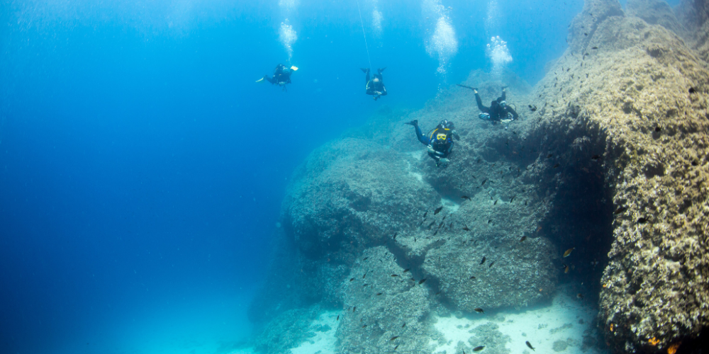 greece-greek-island-marine-conservation22