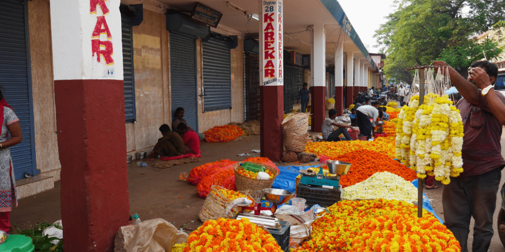 india-family-friendly-teaching-and-community-work-in-goa14