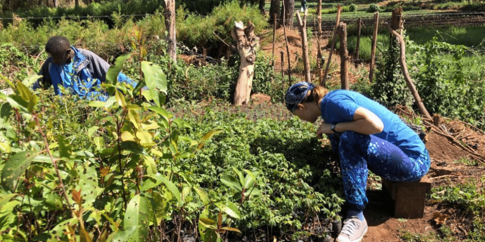 kenya-climate-change-and-wildlife-program-for-teenagers7