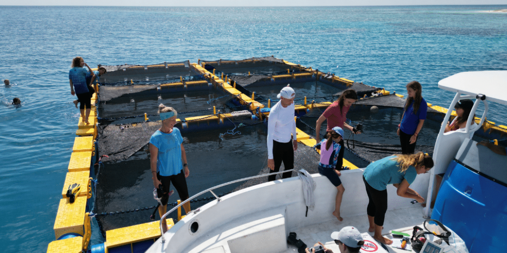 maldives-family-friendly-sea-turtle-conservation-eco-tour-19