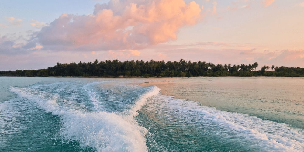 maldives-sea-turtle-conservation-2024-35