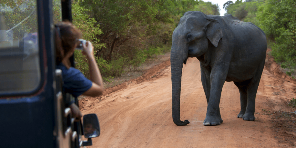 sri-lanka-adventure-tour-new10