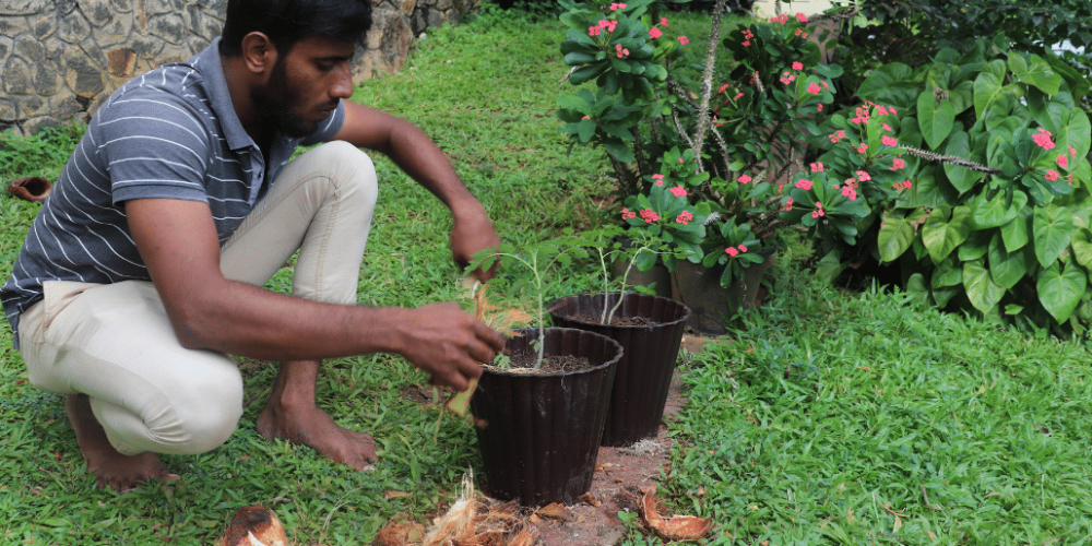 sri-lanka-environmental-conservation-program29