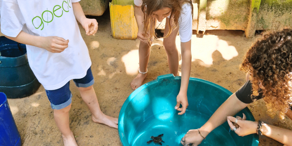 sri-lanka-family-turtle-new1