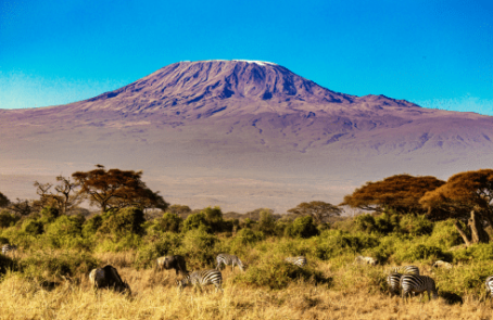 tanzania-kilimanjaro-reforestation-and-environmental-volunteer-program-main-1