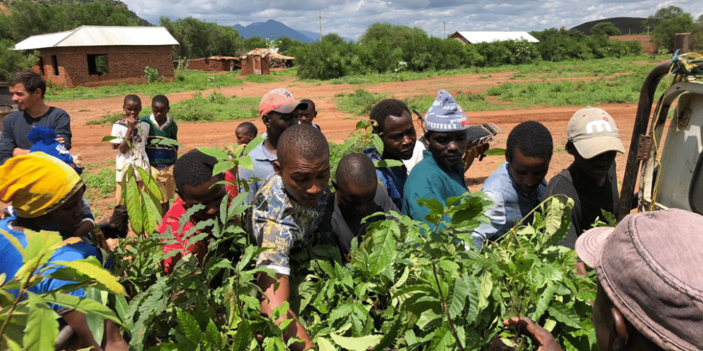 tanzania-kilimanjaro-reforestation-and-environmental-volunteer-program12