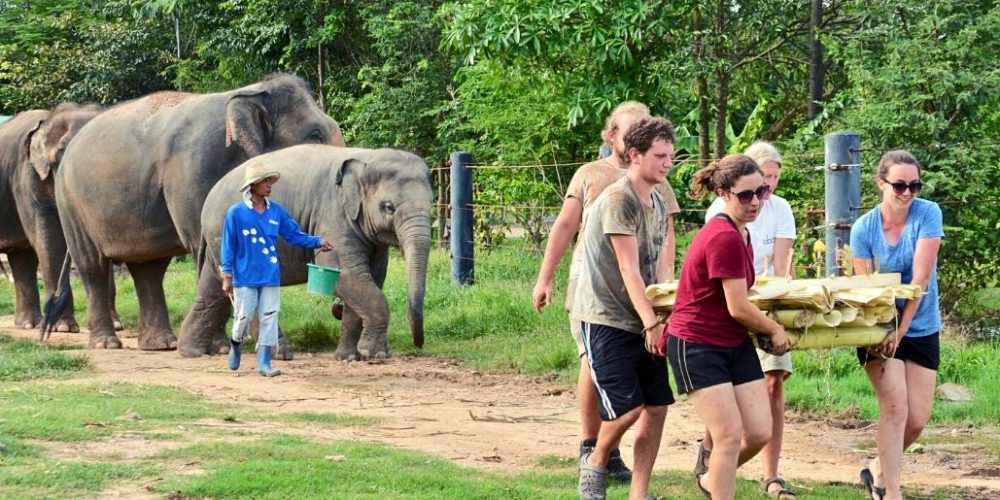 thailand-new-elephant-forest-refuge2