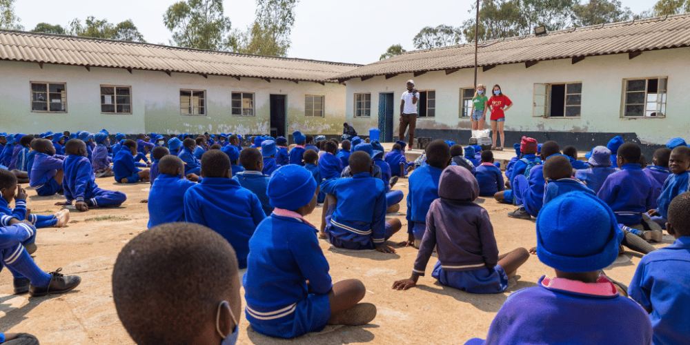 zimbabwe-african-wildlife-orphanage-2023-19